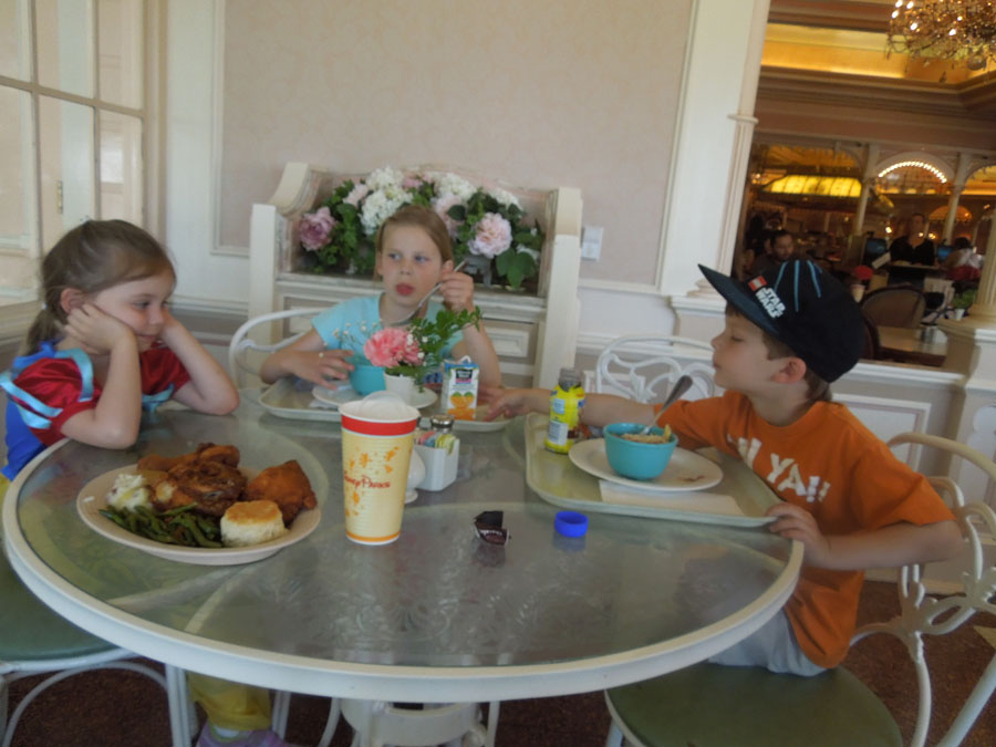 Disneyland Plaza Inn Picture